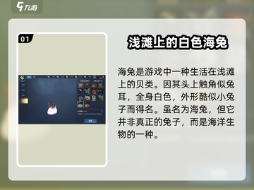 黎明之海白海兔获取攻略💥超简单方法分享！🐇截图2