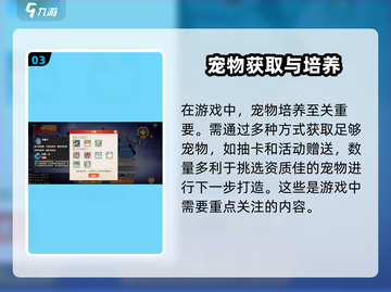 离火之境🔥宝宝打书秘籍，培养玩法大曝光！截图4