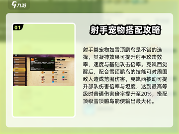 万龙觉醒🔥克岚西宠物最强搭配攻略来啦！截图2
