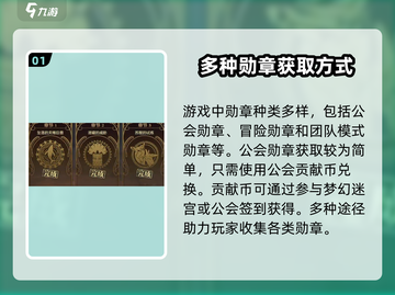 地下城与勇士手游🔥团本勋章获取秘籍🎉截图2