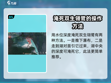 鸣潮🔥双生翎鹭打法详解，轻松通关秘籍！🎉截图6