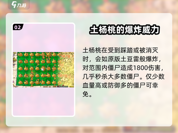 植物大战僵尸：土杨桃杂交版🔥超好用作用大揭秘！截图3
