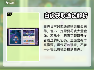 天境传说白虎🔥获取方法大全，快来看看！截图2