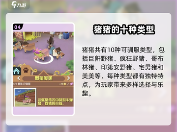 疯狂动物园💥隐藏动物大揭秘！丛林全动物图鉴在这里🎉截图5
