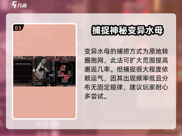 渔帆暗涌水母抓捕🔥超简单攻略来啦！🎮截图4