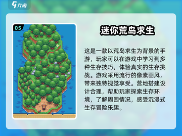 🔥2025超人气荒岛游戏下载链接🌟截图6