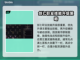 王权与自由🔥剑匕流派加点推荐来啦！截图4