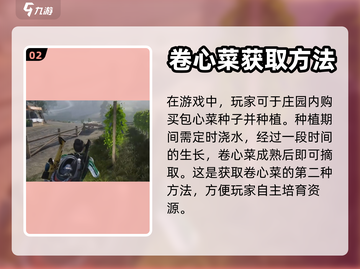 《七日世界》包心菜获取攻略💎轻松搞定！截图3