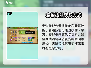 万龙觉醒🔥宠物技能全揭秘，升级必备！截图2