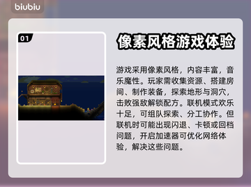 泰拉瑞亚🔥闪退解决+联机加速工具分享！截图2