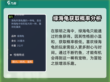 黎明之海💚绿海龟获取攻略📍超详细位置指引！截图2