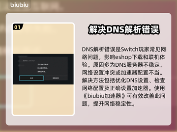Switch2加速器DNS解析错误？一键解决教程来啦！💥🚀截图2