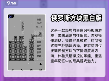 🔥2024必玩！经典俄罗斯方块合集🎉截图2