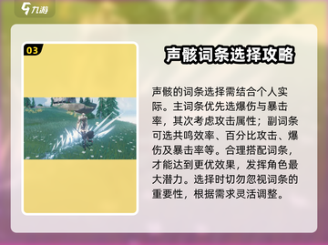 鸣潮🔥散华声骸选谁？游戏终极攻略⚡截图4