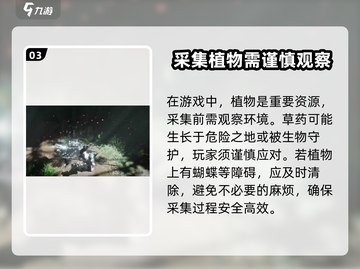 燕云十六声🔥植物作用大起底！💡截图4