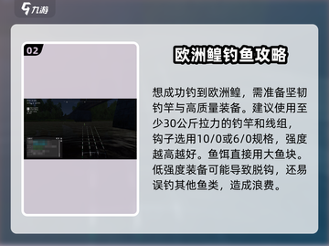 钓鱼星球🔥欧洲鳇出鱼秘籍，轻松上手钓大鱼！🐟截图3