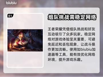 王者荣耀国际服🔥加速器选购秘籍🎉截图2