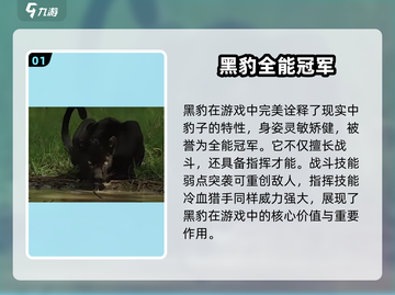 野兽领主新世界黑豹🔥强度逆天必练！截图2