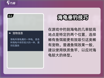 🎮黎明之海绿海龟宠物获取攻略大公开！截图3