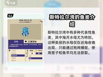 渔帆暗涌斯特拉尔湾钓鱼🔥超全攻略来啦！截图3