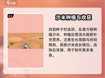 沙石镇时光🔥：快速获取沙米种子的秘籍！截图4