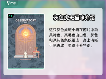猫咪和汤：灰色猫咪养成秘籍，萌翻💥游戏必备！截图2