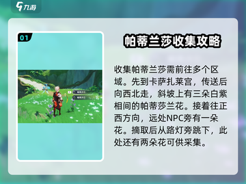 原神💎帕蒂莎兰采集位置全解密！快收藏🔥截图2