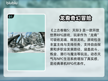 上古卷轴5掉帧卡顿？💥一招教你流畅玩转游戏！🎮截图2