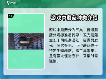 《七日世界》🔥蘑菇采集终极指南📍截图5