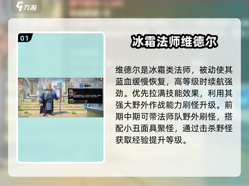 万龙觉醒🔥维德尔练级攻略🎉新手必看！截图2