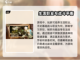 龙之谷世界手游🔥超好玩吗？评测来了！截图3