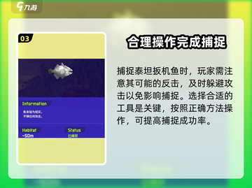 潜水员戴夫🔥泰坦扳机鱼抓捕攻略来啦！截图4