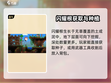 泰拉瑞亚✨闪耀根种植技巧大公开！快速上手攻略截图2