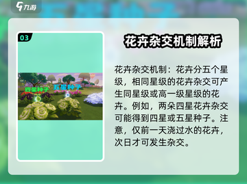 心动小镇🔥扶桑花种植条件大揭秘！🌸截图4
