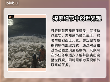只狼掉帧？用这加速器🔥流畅玩！🎮截图2