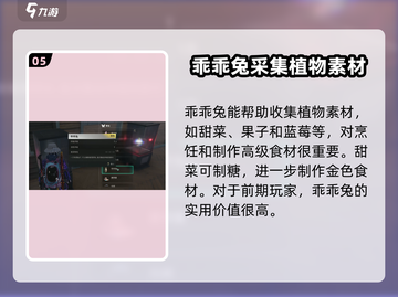 七日世界💡乖乖兔收容终极攻略hare截图6