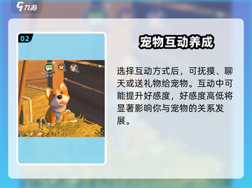 《沙石镇时光》宠物指令大揭秘🐶截图3