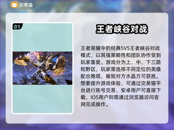 🎮王者荣耀账号购买平台大揭秘！截图2