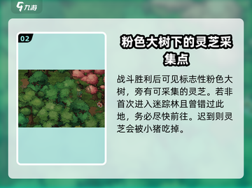 大侠立志传🔥迷踪林灵芝位置全揭秘！💡截图3