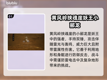 黑神话悟空🔥小郦龙角色特点全面分析！截图2