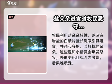 西普大陆手游盐朵朵🔥超全介绍来啦！截图3