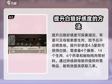 荒野日记🔥孤岛好感度提升秘籍大全！💥截图3