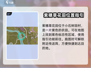无限暖暖💥紫色花田位置大揭秘🌸截图2