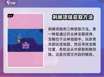 英勇之地💥荆棘项链获取攻略💎截图2
