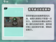 上古河图🔥青帝句芒玩法大揭秘！必看👇截图3