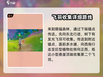 原神⚡赐福森林欢声飞羽位置全攻略！🔥截图2