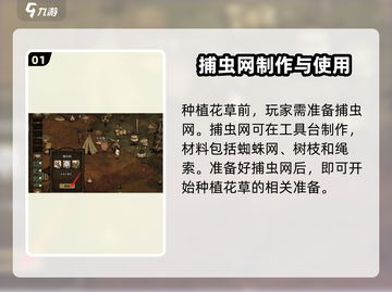 饥荒新家园💡花草种植攻略📝让你的家园美美哒～截图2