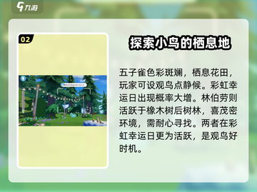 心动小镇：快速解锁观鸟秘籍🔥🐦截图3