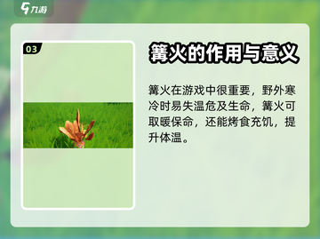 创造吧我们的星球🔥篝火生成攻略来了！截图4