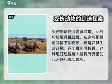 猎人之路💥超简单中文设置教程来了！🎉截图4